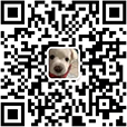 Scan to wechat