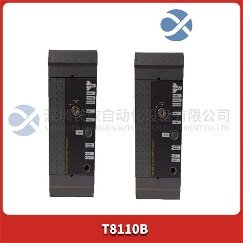 ICS TRIPLEX T8110B