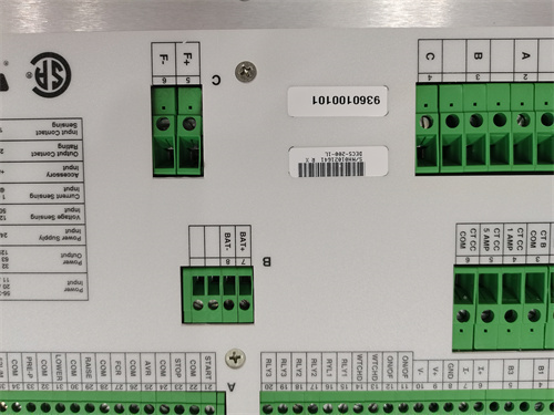 BASLER ELECTRIC DECS-200-1L