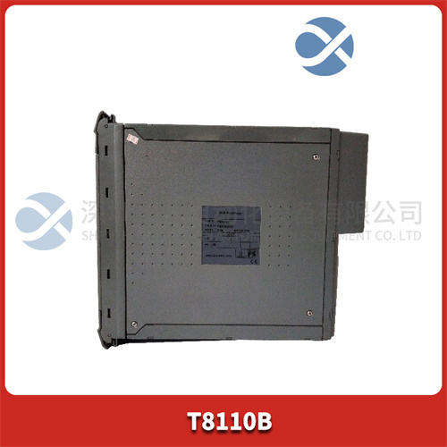 ICS TRIPLEX T8110B